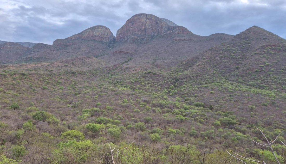 Land in Hoedspruit, Limpopo, South Africa 2 - 17247385