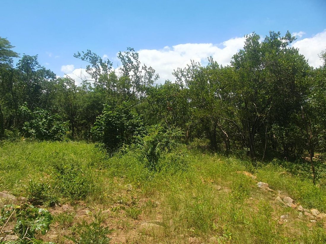 Land in Hoedspruit, Limpopo, South Africa 5 - 17247385