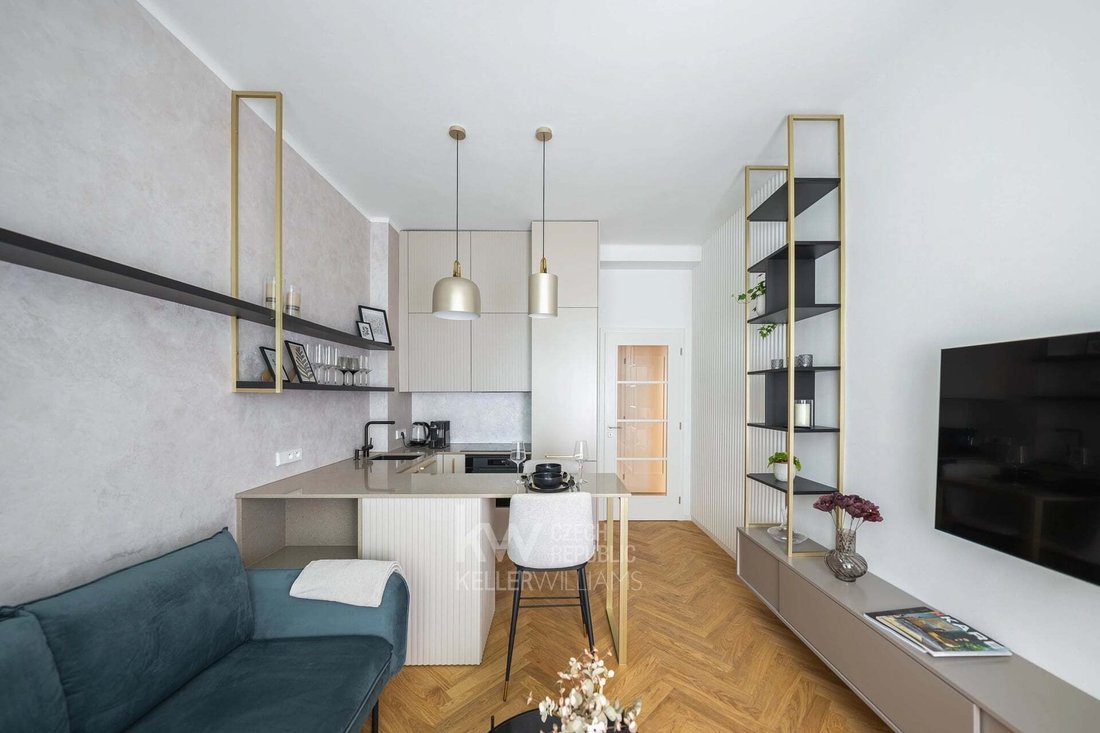 Apartment in Prague, Prague, Czechia 3 - 17249589