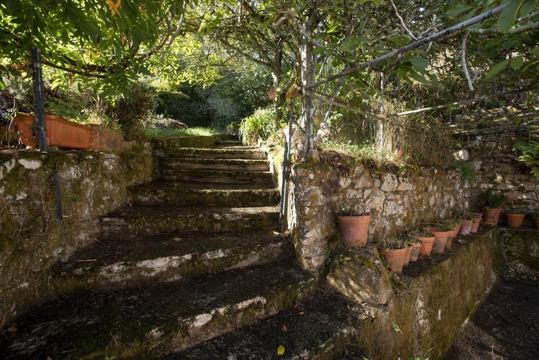 Farm Ranch in Colares, Lisbon, Portugal 5 - 17250872