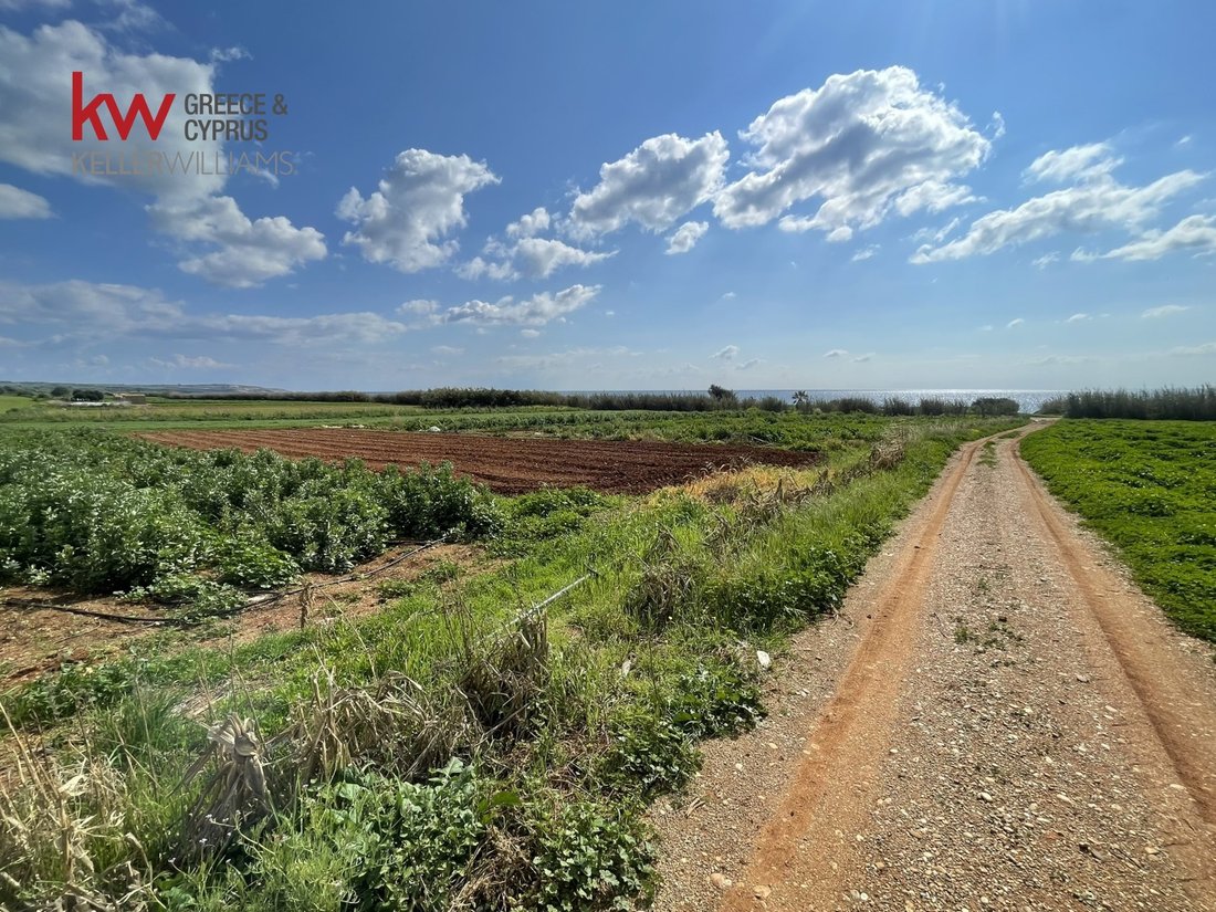 Land in Greece 5 - 17250481