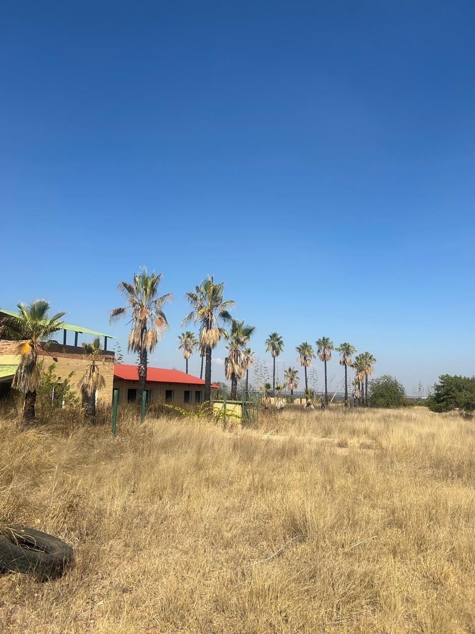 Farm Ranch in Polokwane Ext 46, Limpopo, South Africa 3 - 17251295