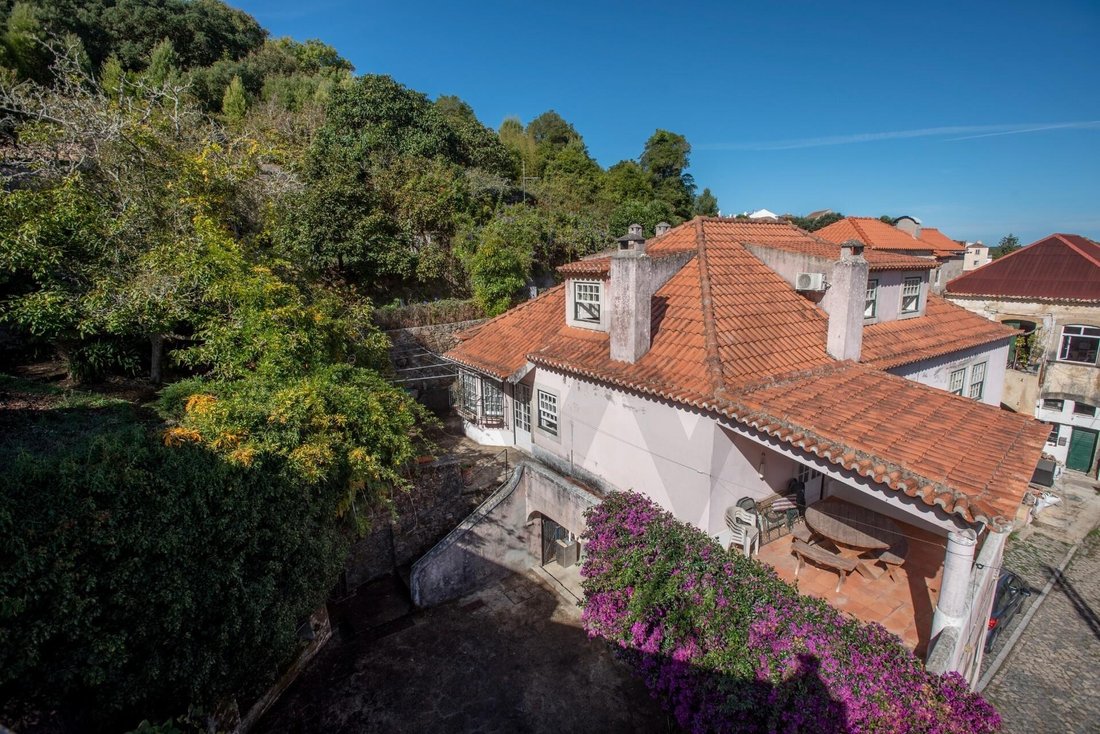 Farm Ranch in Colares, Lisbon, Portugal 3 - 17250872