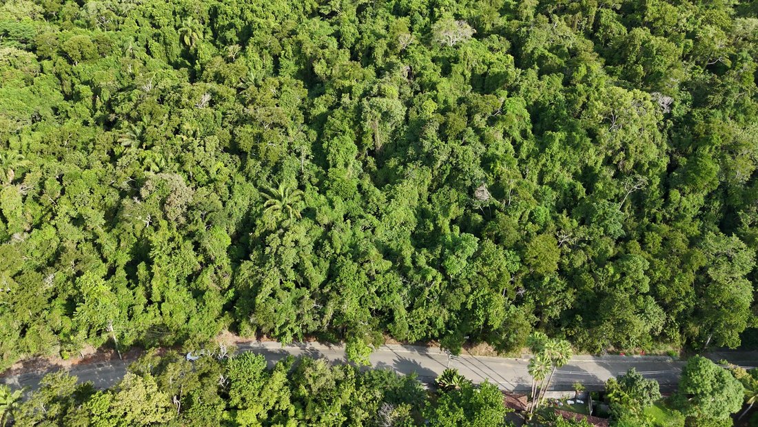 Land in Ilhabela, State of São Paulo, Brazil 2 - 17252848