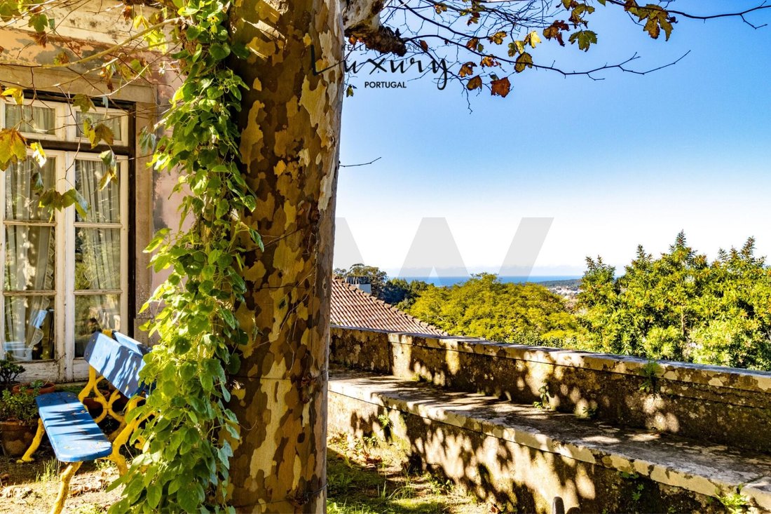 House in Sintra, Lisbon, Portugal 4 - 17249769