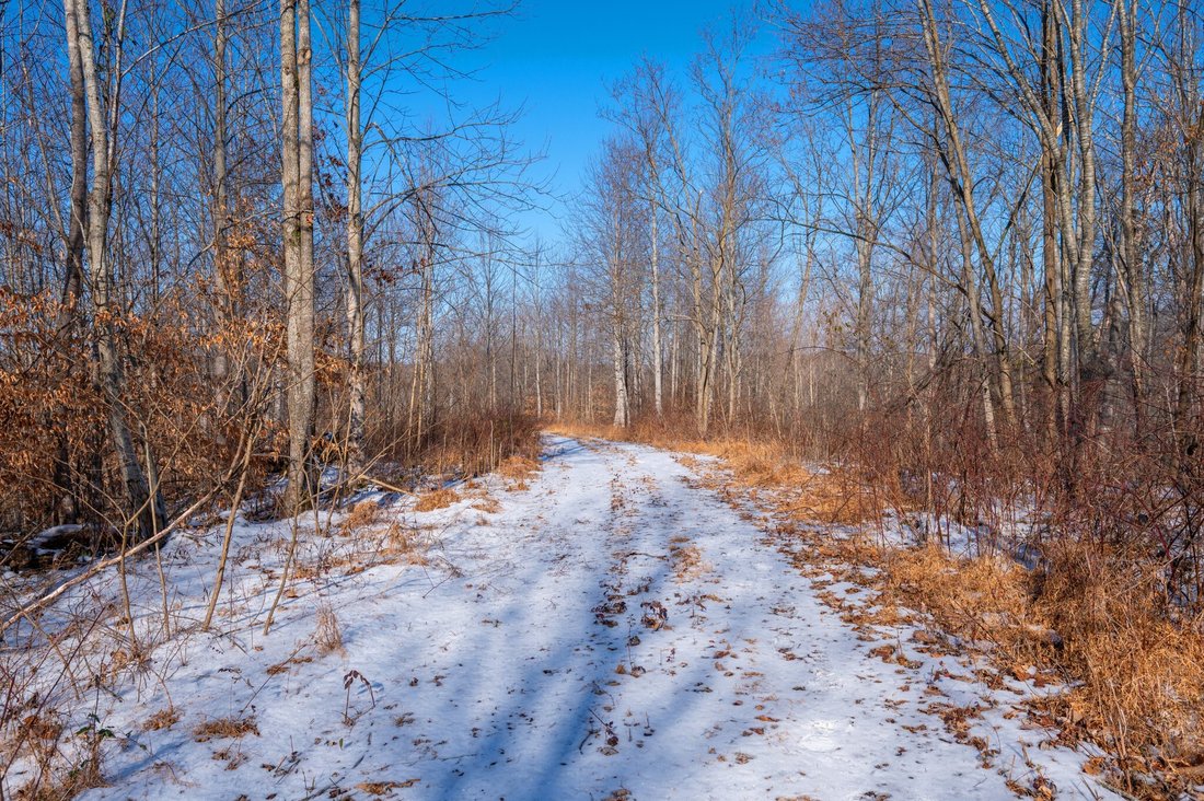 Land in Franklin, Tennessee, United States 5 - 17249293