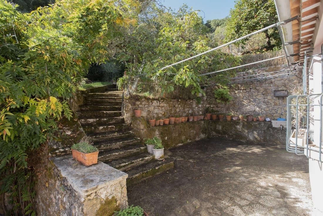 Farm Ranch in Colares, Lisbon, Portugal 4 - 17250872