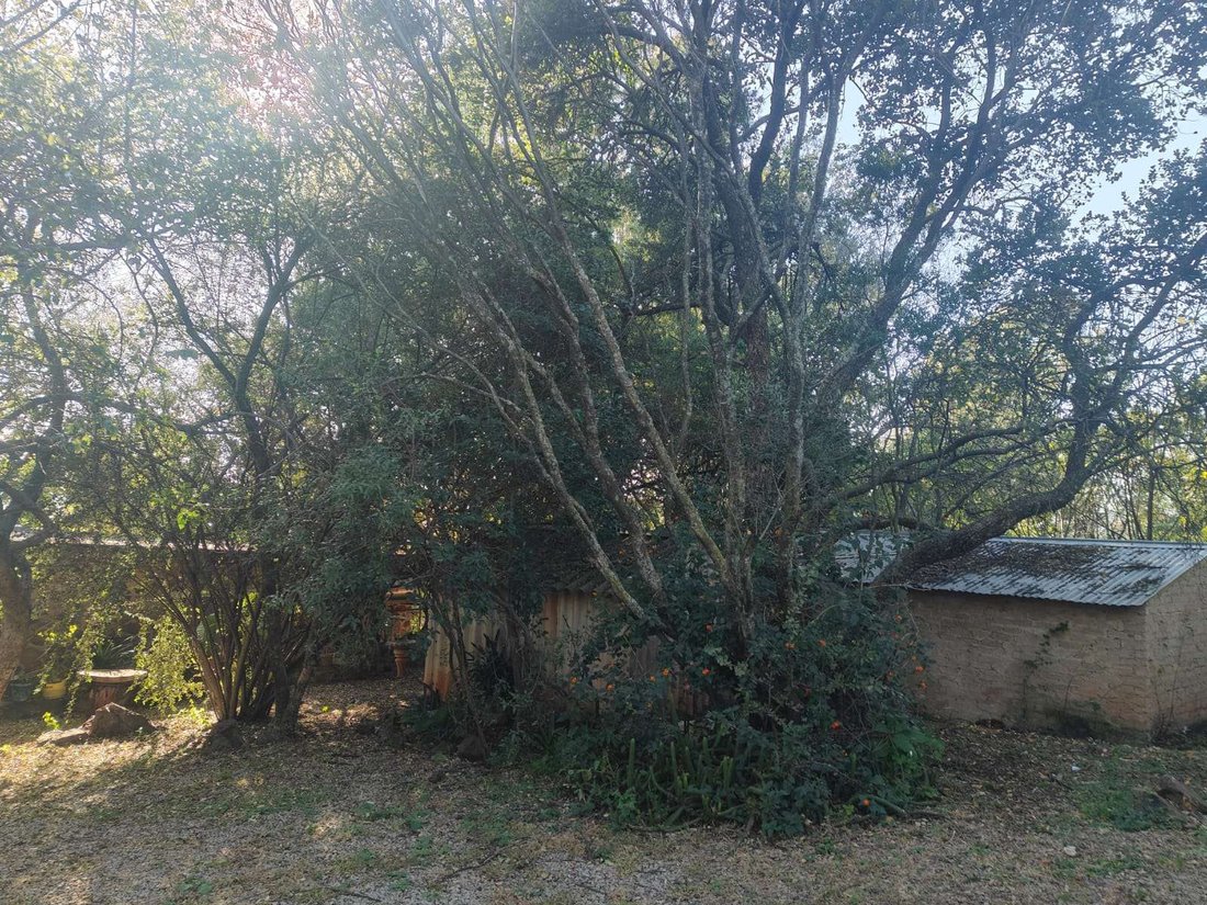 Land in Featherbrooke Estate, Gauteng, South Africa 2 - 17251072