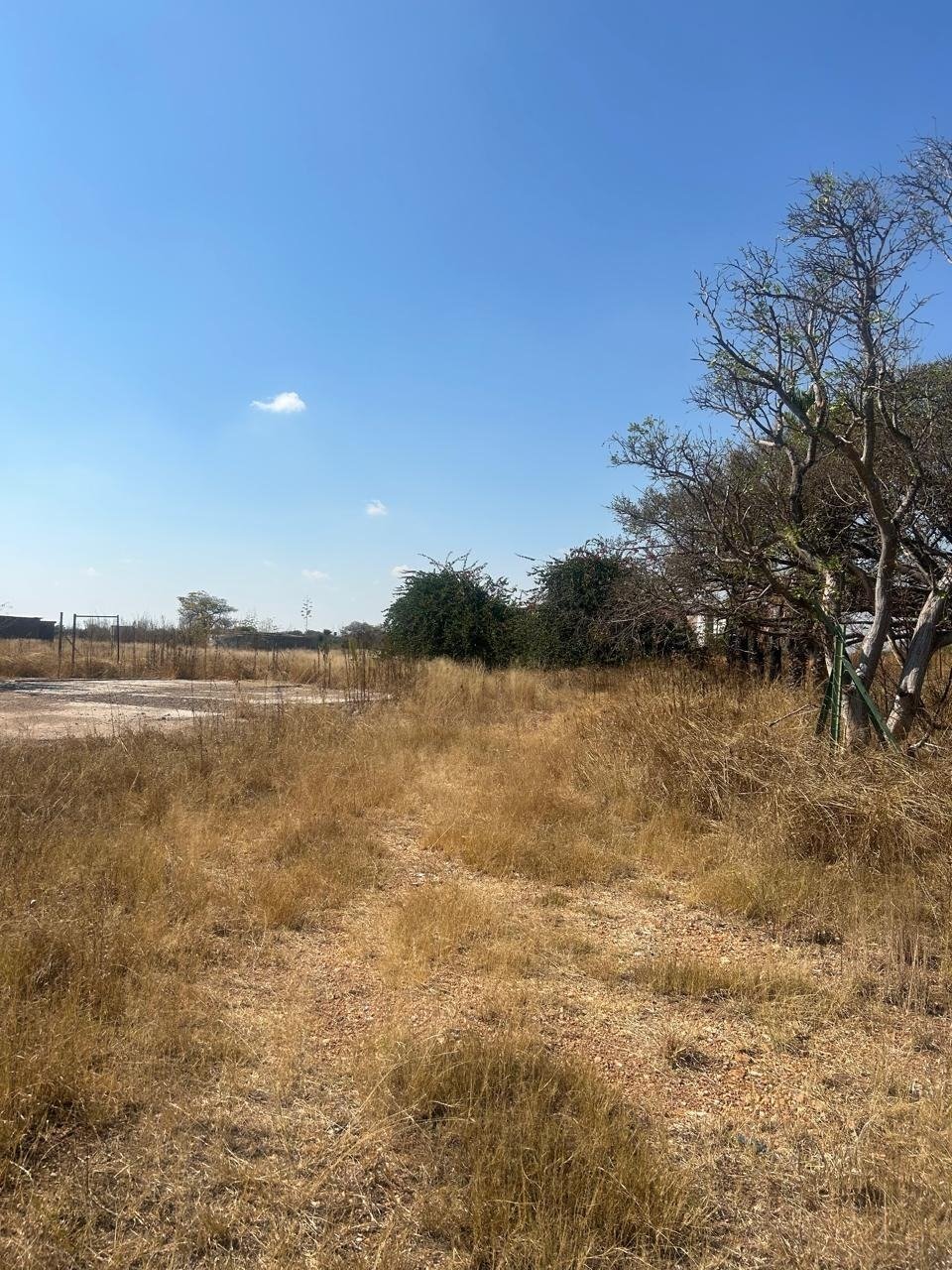 Farm Ranch in Polokwane Ext 46, Limpopo, South Africa 4 - 17251295