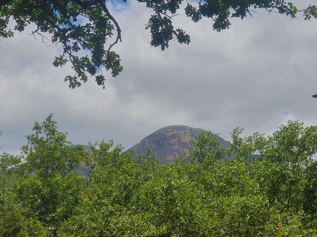 Land in Hoedspruit, Limpopo, South Africa 3 - 17247385