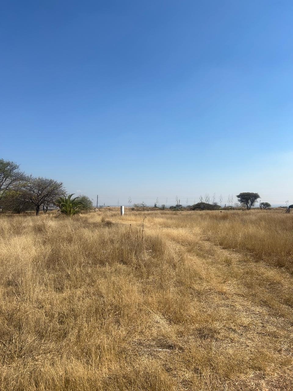 Farm Ranch in Polokwane Ext 46, Limpopo, South Africa 5 - 17251295