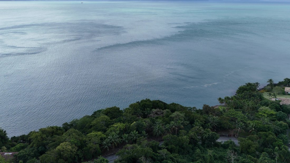 Land in Ilhabela, State of São Paulo, Brazil 4 - 17252848