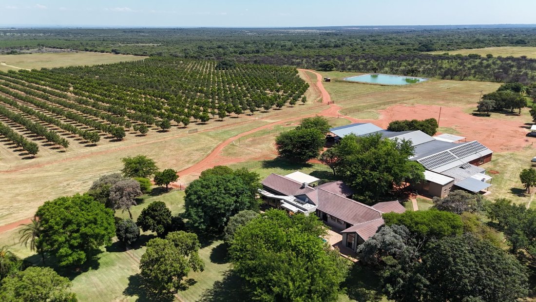 Farm Ranch in Johannesburg, Gauteng, South Africa 1 - 17252521