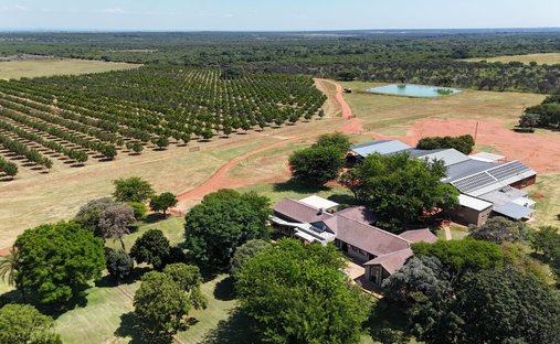 Farm Ranch in Johannesburg, Gauteng, South Africa 1