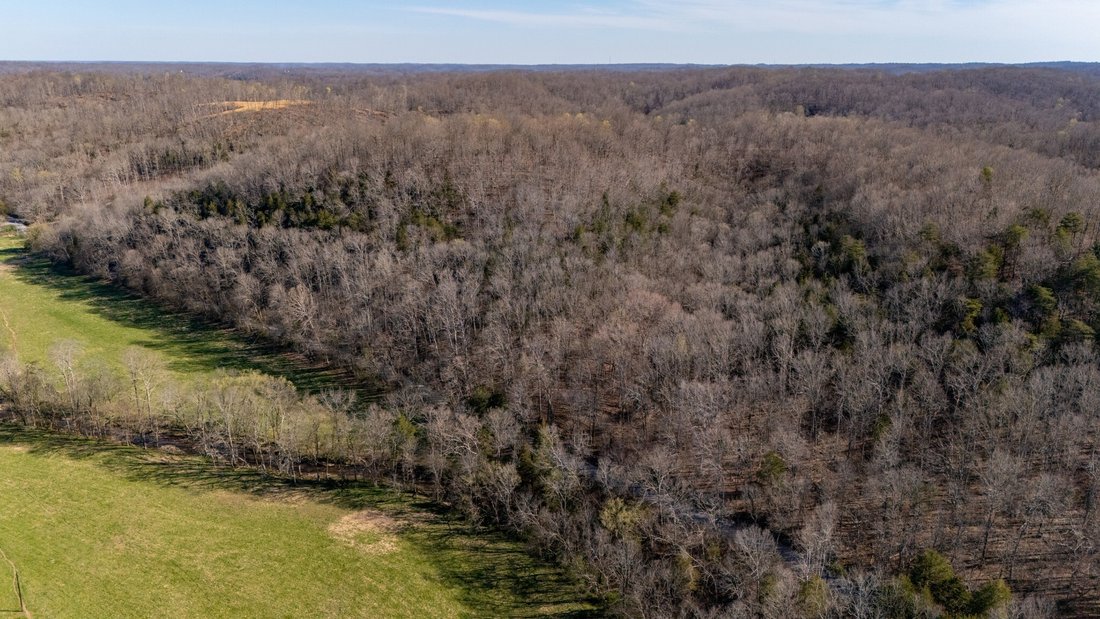 Land in Franklin, Tennessee, United States 2 - 17250000