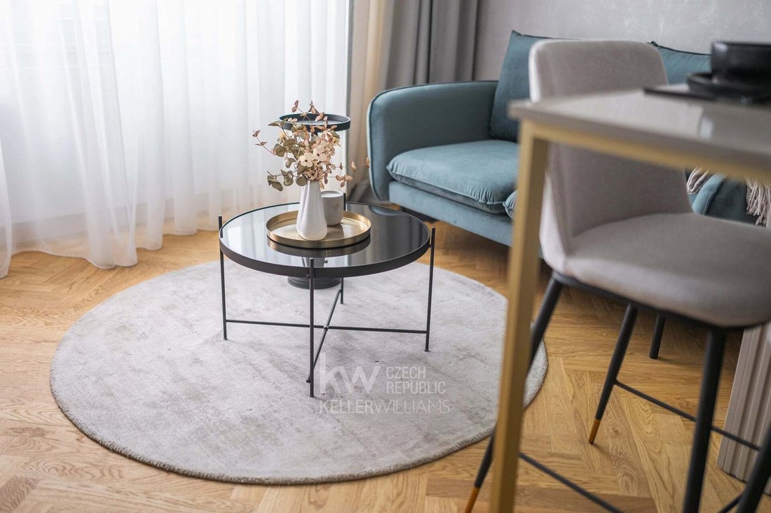 Apartment in Prague, Prague, Czechia 5 - 17249744