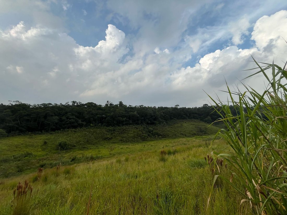 Land in Barueri, State of São Paulo, Brazil 1 - 17252062