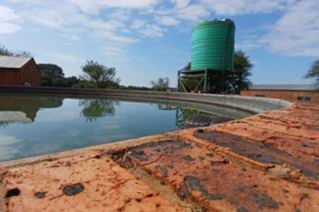 Farm Ranch in Johannesburg, Gauteng, South Africa 1 - 17252486