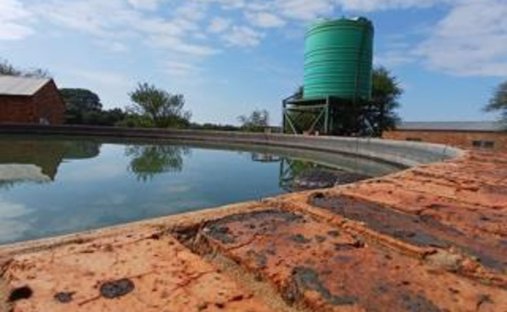 Farm Ranch in Bela-Bela, Limpopo, South Africa 1