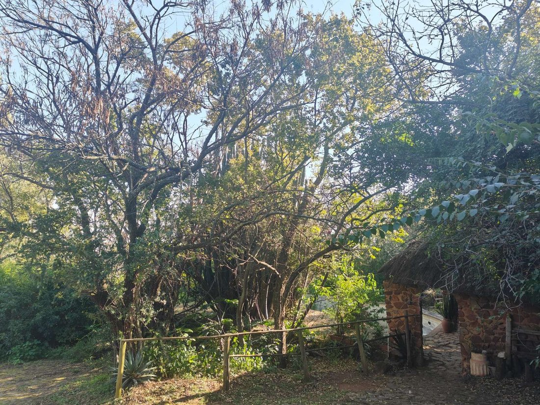 Land in Featherbrooke Estate, Gauteng, South Africa 5 - 17251072