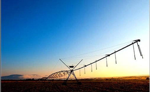 Corps de ferme à Alldays, Limpopo, Afrique du Sud 1