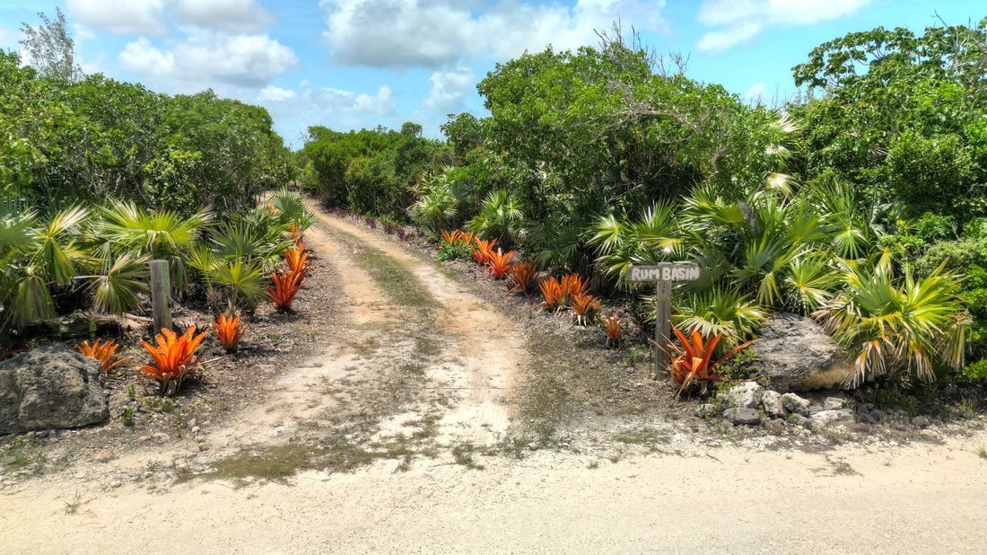 House in Little Harbour, Central Abaco, The Bahamas 2 - 17248128