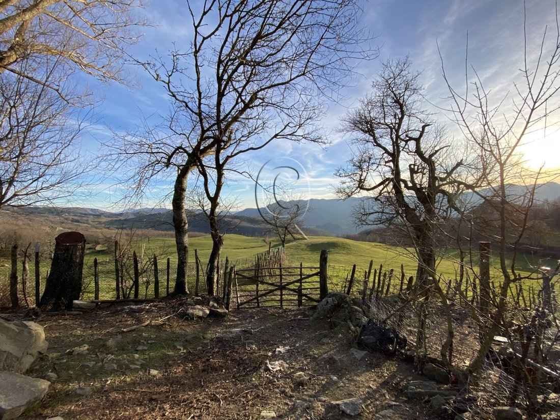 House in Bagno di Romagna, Emilia-Romagna, Italy 5 - 17255145