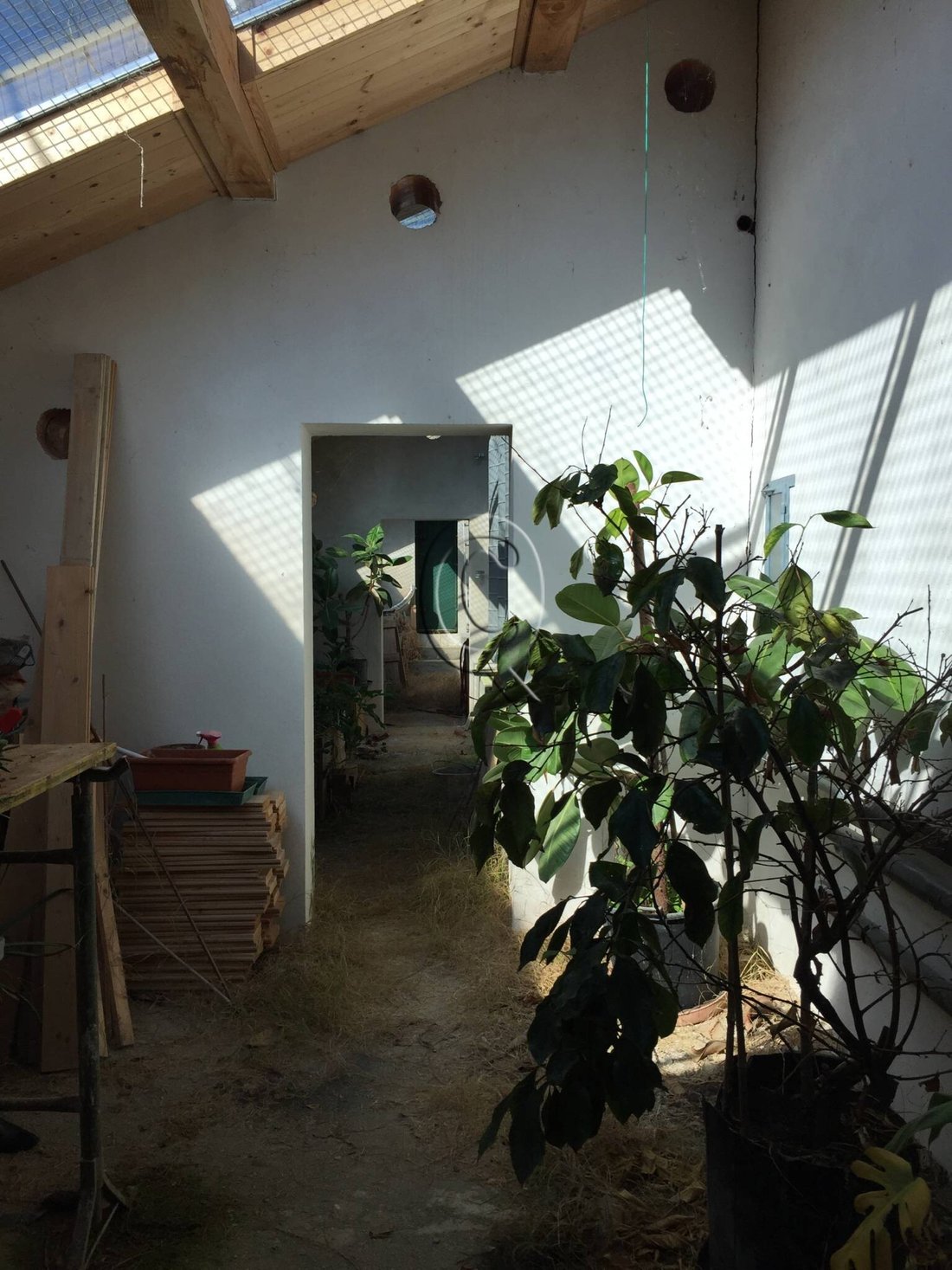 House in Sogliano Al Rubicone, Emilia-Romagna, Italy 5 - 17254322