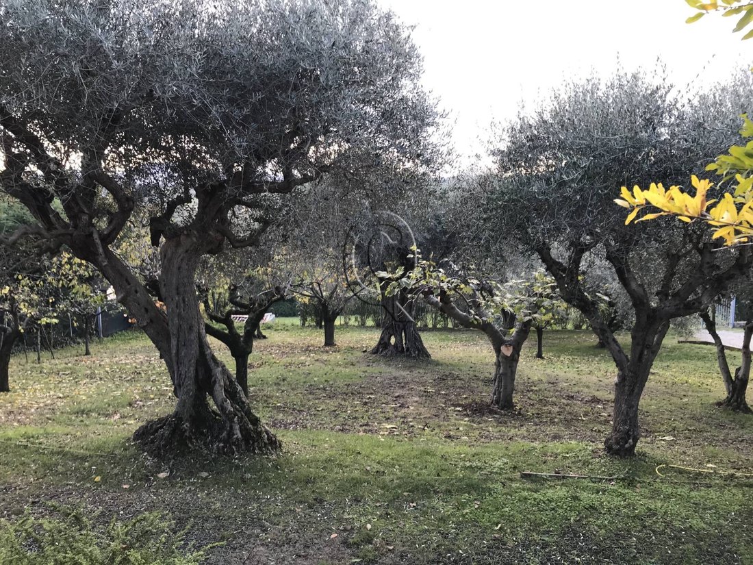 Casa a Zona Dario Campana - Zona Covignano, Rimini, Emilia-Romagna 3 - 17254737