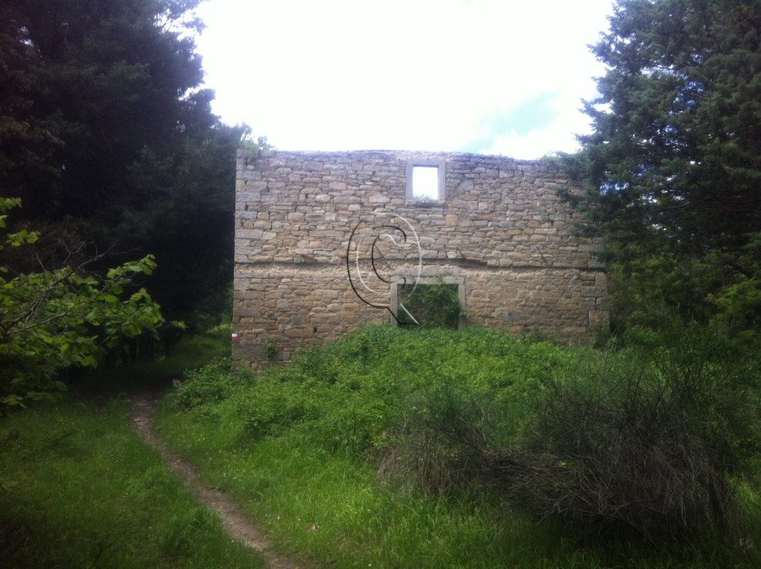Land in Bagno di Romagna, Emilia-Romagna, Italy 2 - 17254144