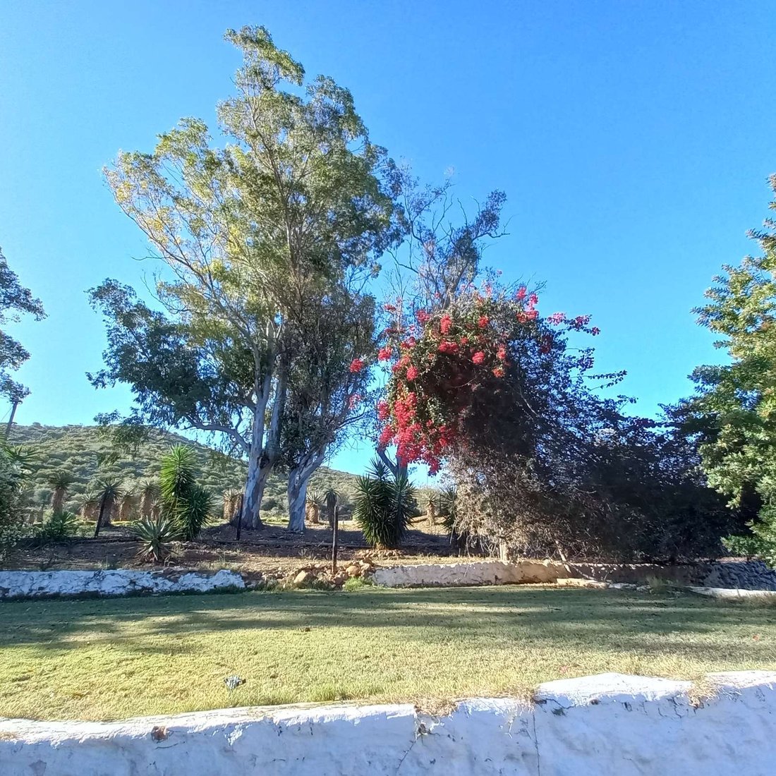 Farm Ranch in Braamfontein, Gauteng, South Africa 3 - 17256099