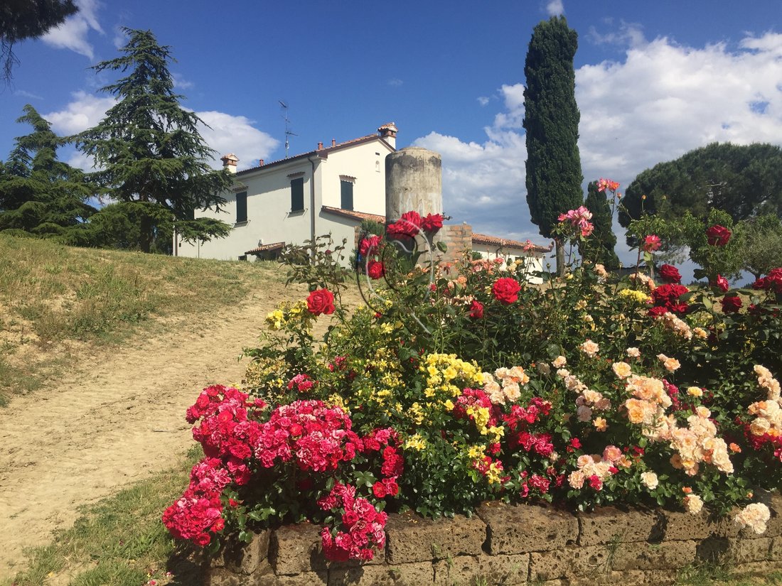 House in Fiorenzuola, Cesena, Emilia-Romagna 3 - 17255081