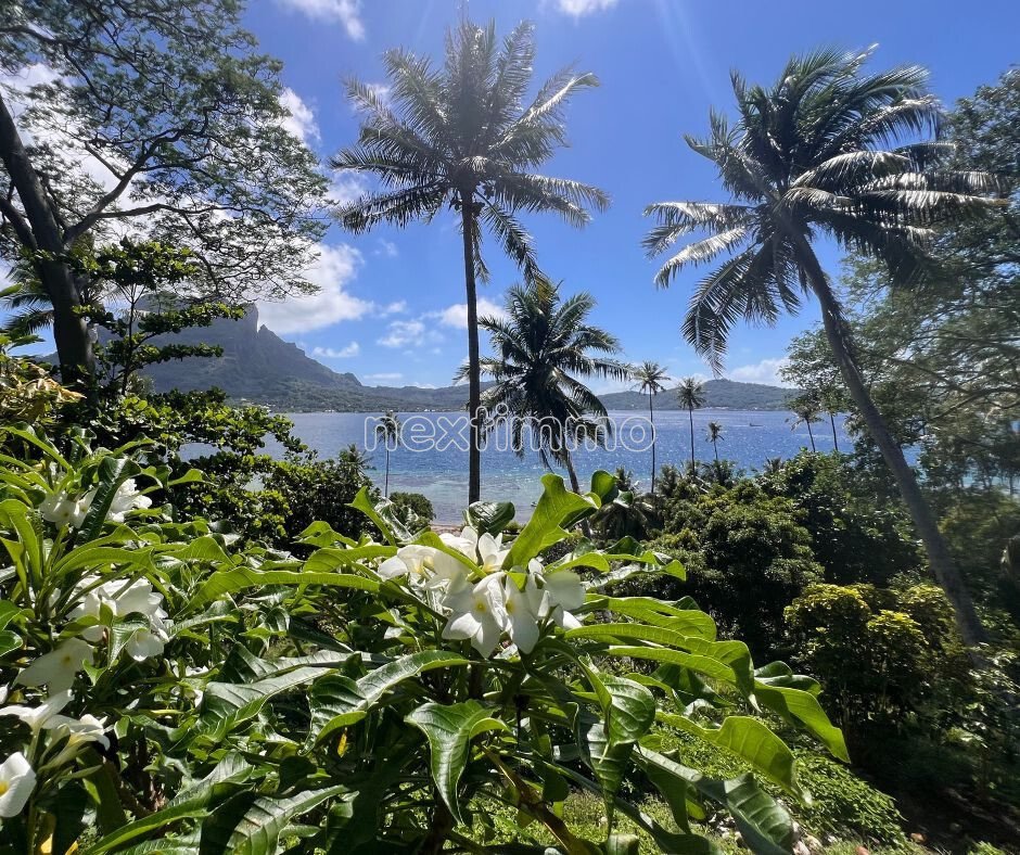 Land in Vaitape, Leeward Islands, French Polynesia 2 - 17256632
