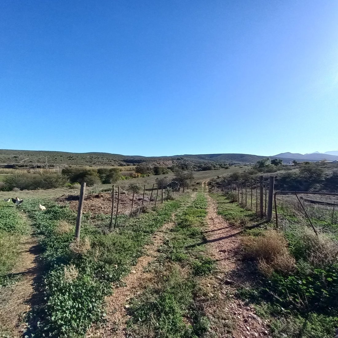 Farm Ranch in Braamfontein, Gauteng, South Africa 2 - 17256099
