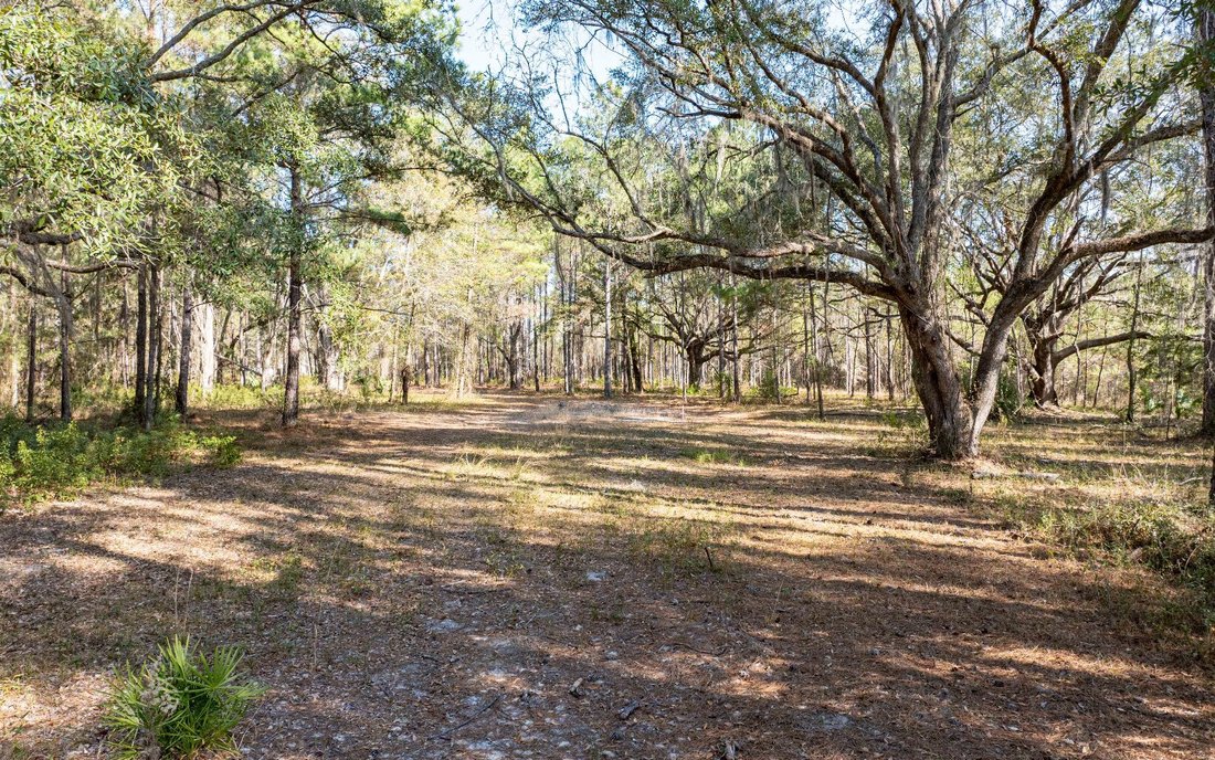 Land in Lake City, Florida, United States 3 - 17257465