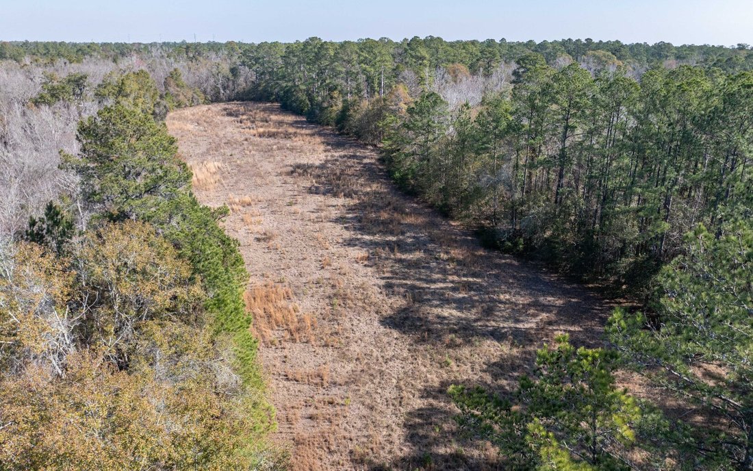 Land in Lake City, Florida, United States 1 - 17257465