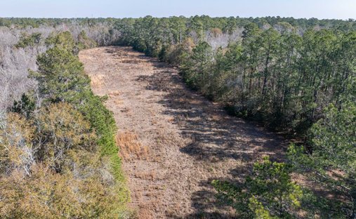Land in Lake City, Florida, United States 1