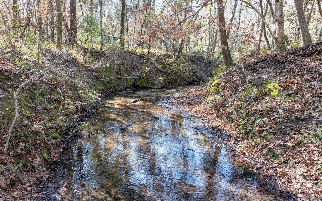 Land in Lake City, Florida, United States 5 - 17257465