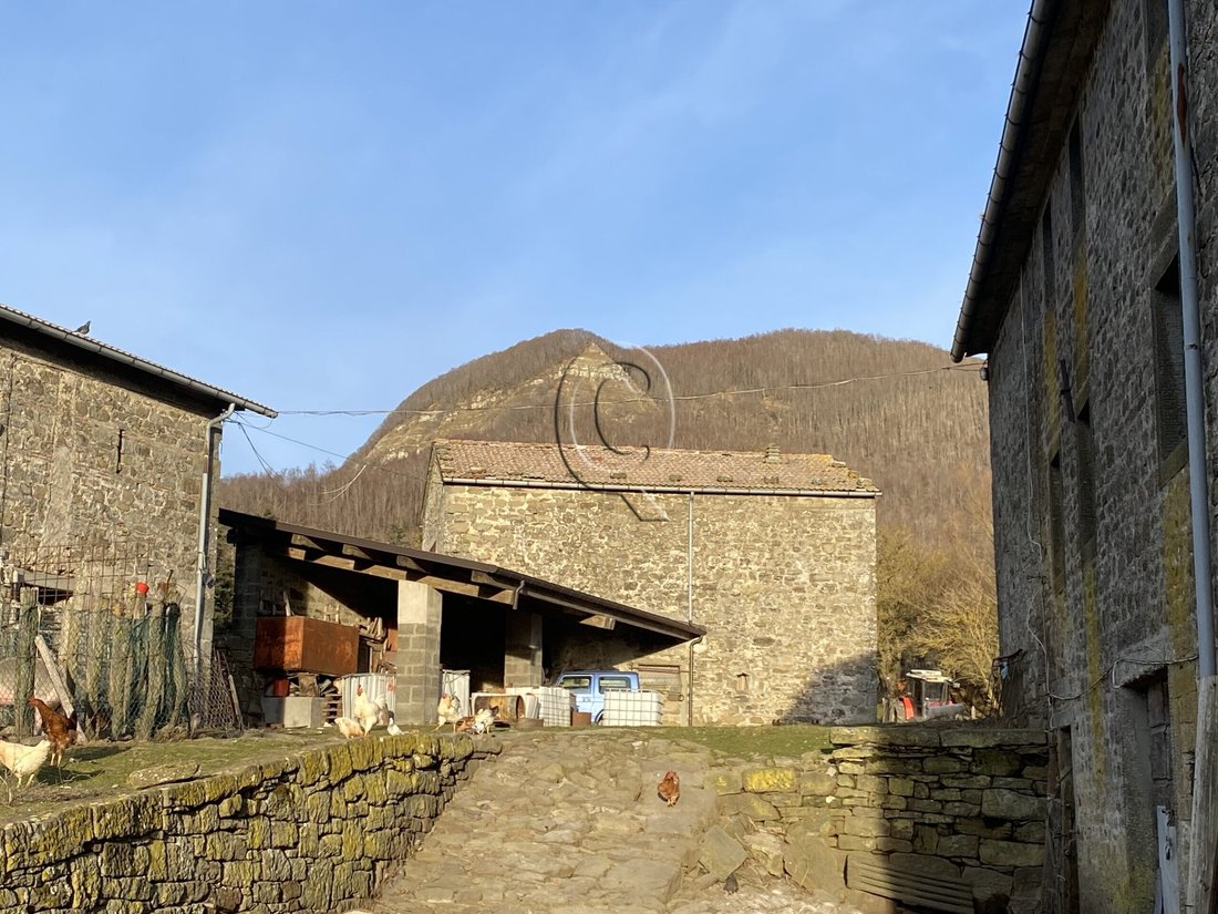 House in Bagno di Romagna, Emilia-Romagna, Italy 3 - 17255145