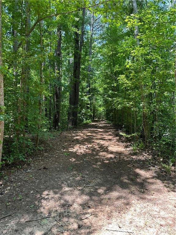 Land in Alcovy Shores, Georgia, United States 3 - 17246172