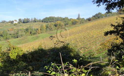 Terreno a Roncofreddo, Emilia-Romagna, Italia 1
