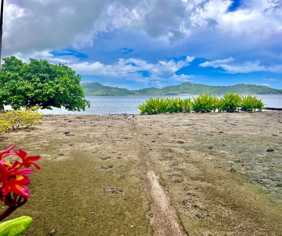 Land in Vaitape, Leeward Islands, French Polynesia 1 - 17256632
