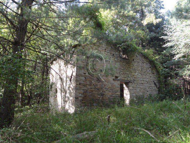 Land in Bagno di Romagna, Emilia-Romagna, Italy 4 - 17254144