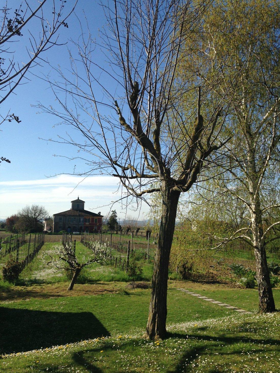 House in Bagnarola - Villalta - Borella, Cesenatico, Emilia-Romagna 2 - 17254658