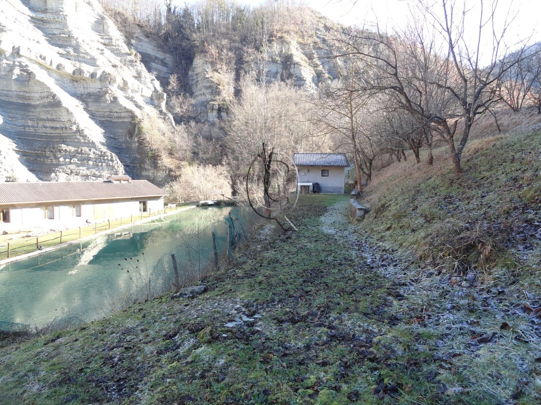 House in Bagno di Romagna, Emilia-Romagna, Italy 5 - 17254726
