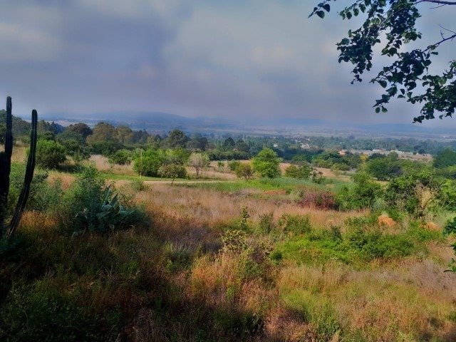 House in Rispark, Gauteng, South Africa 2 - 17258062