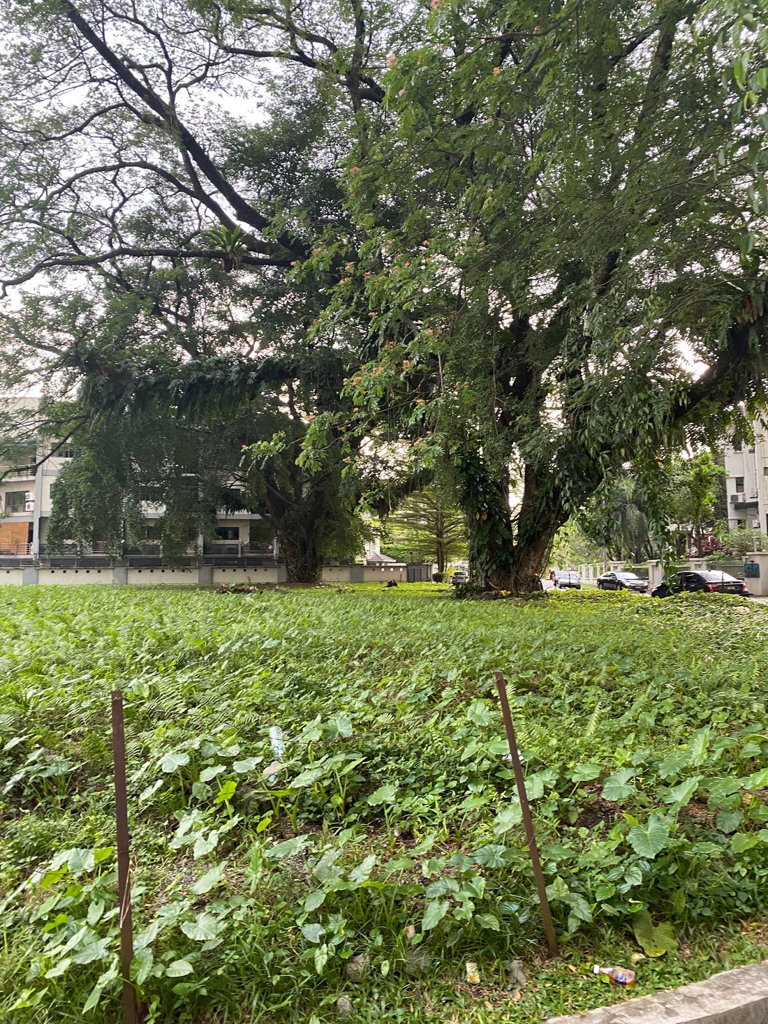 Land in Kuala Lumpur, Federal Territory of Kuala Lumpur, Malaysia 5 - 17258802