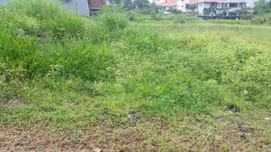 Land in Petaling Jaya, Selangor, Malaysia 1 - 17259108