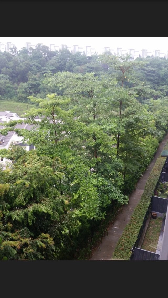 House in Kuala Lumpur, Federal Territory of Kuala Lumpur, Malaysia 3 - 17258845