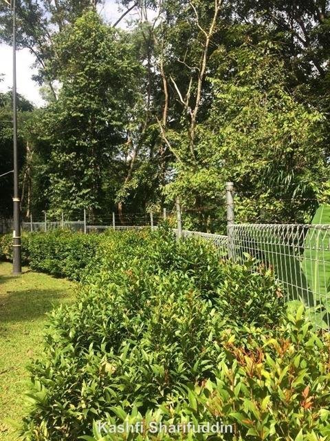 Land in Ampang Jaya, Selangor, Malaysia 3 - 17259113